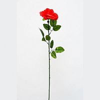 Роза одиночная